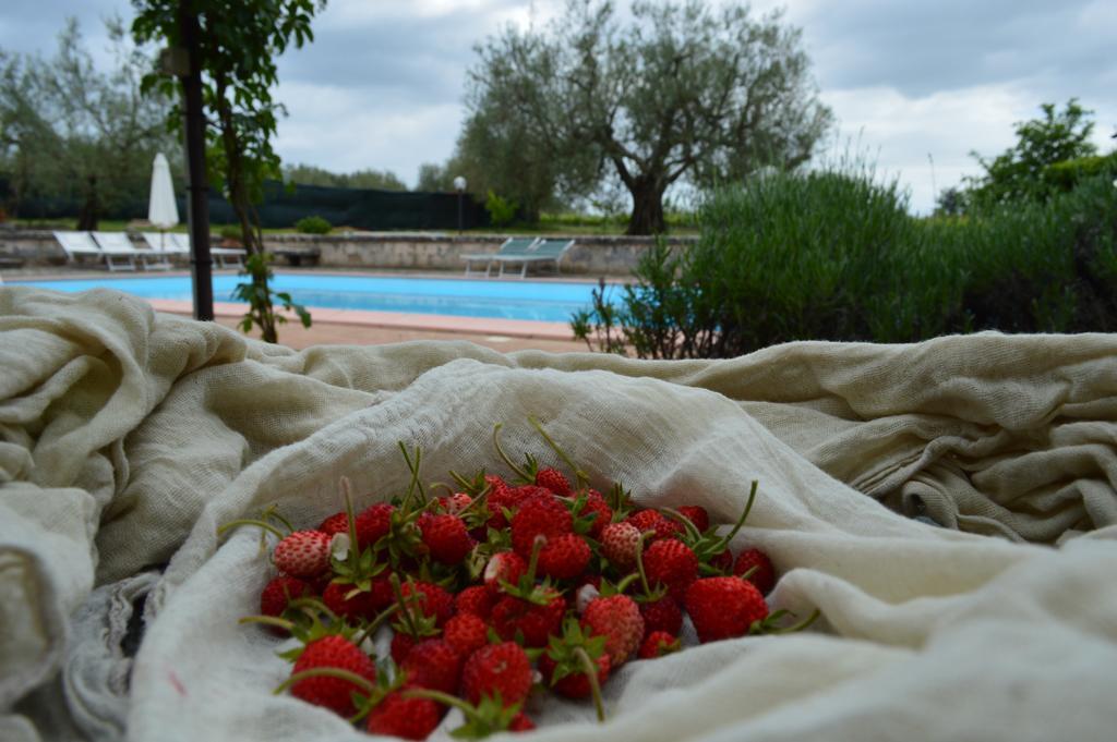 Agriturismo Eco-Bio Villa Vacasio Пітільяно Екстер'єр фото